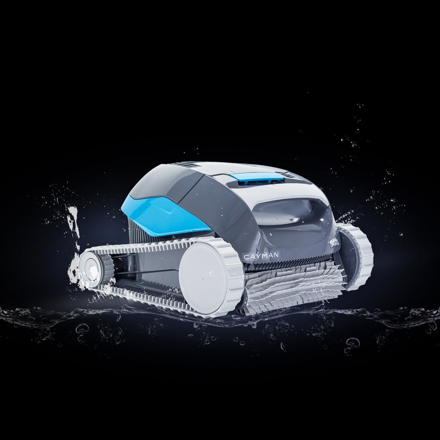 Dolphin Cayman