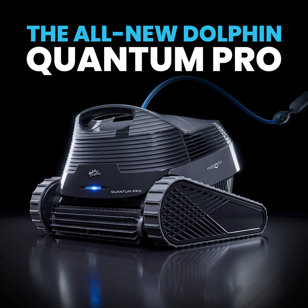 Dolphin Quantum